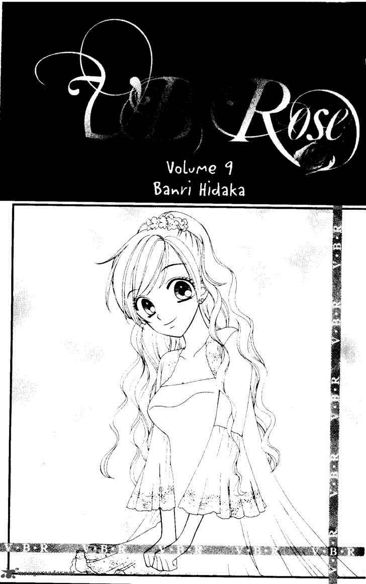 vb_rose_48_3