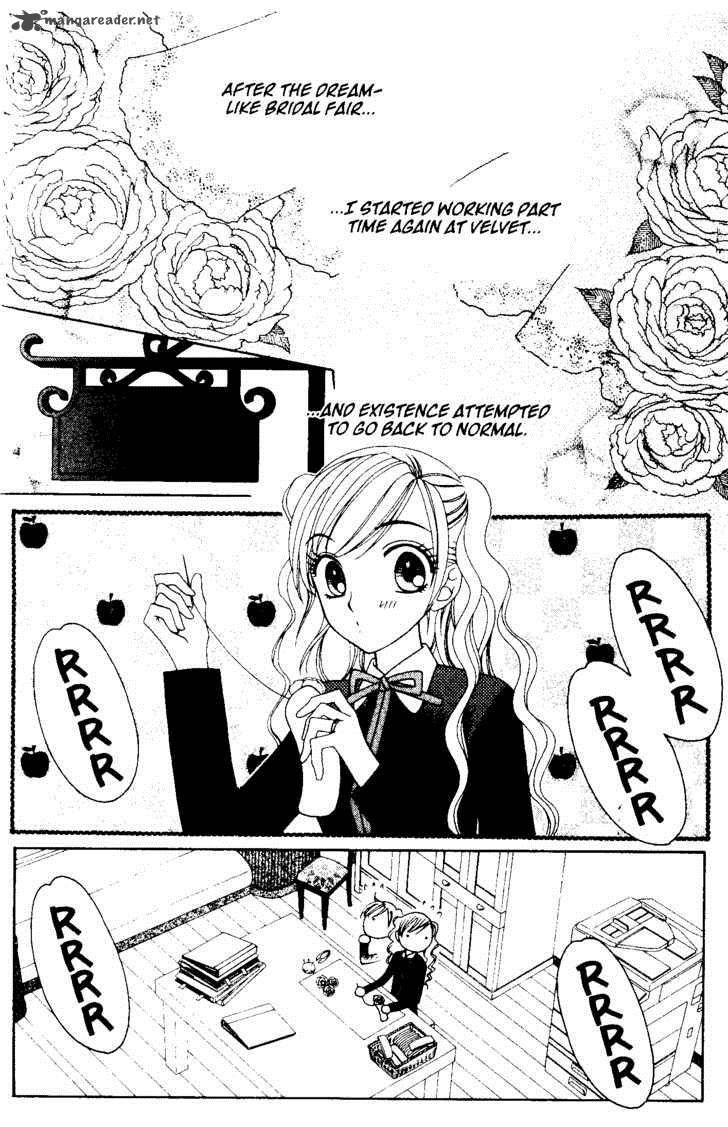 vb_rose_53_3