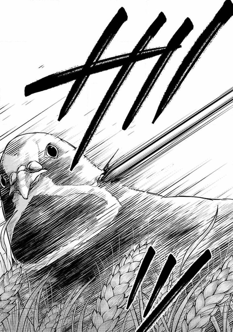 ware_ni_cheat_o_hazure_cheat_no_shoukan_yuusha_wa_isekai_de_yukkuri_kurashitai_3_13