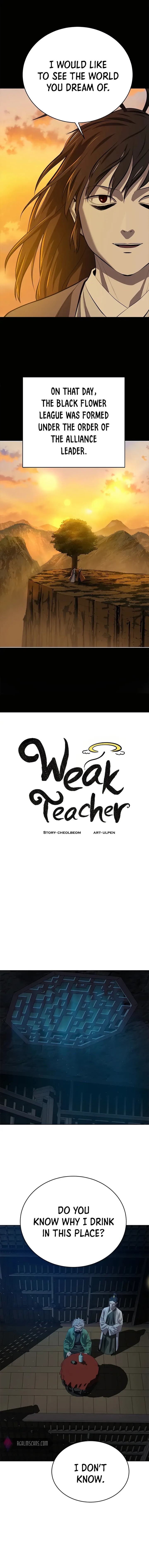 weak_teacher_98_5