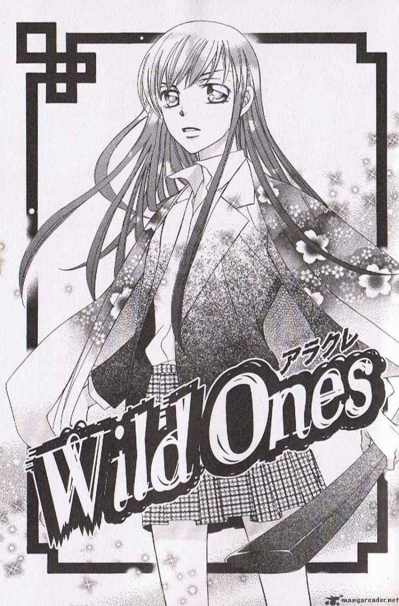 wild_ones_10_1