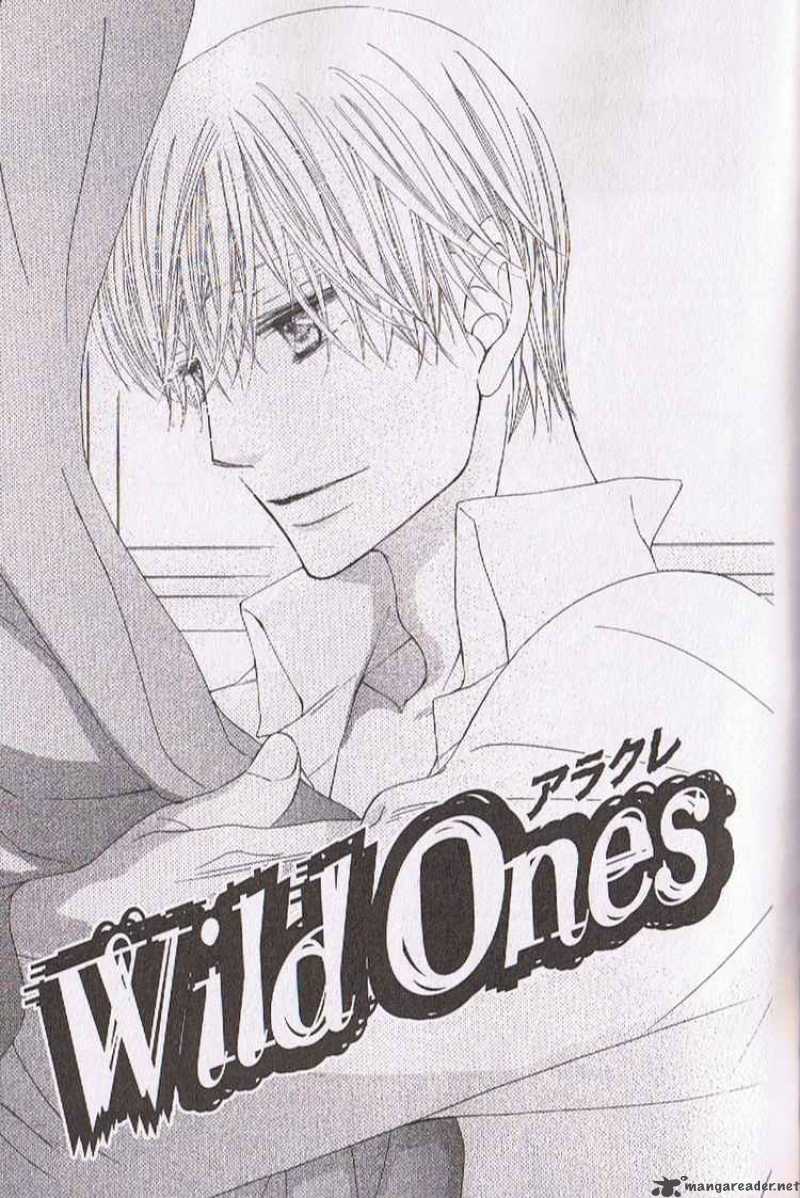 wild_ones_16_3