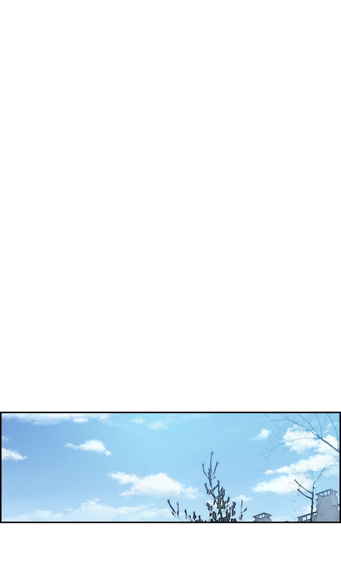 wind_breaker_218_19