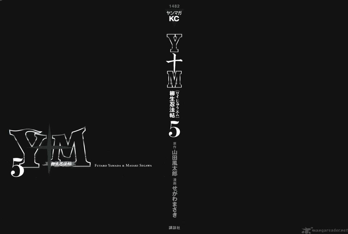 ym_31_3