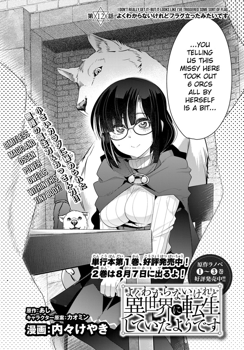 yoku_wakaranai_keredo_isekai_ni_tensei_shiteita_you_desu_12_2