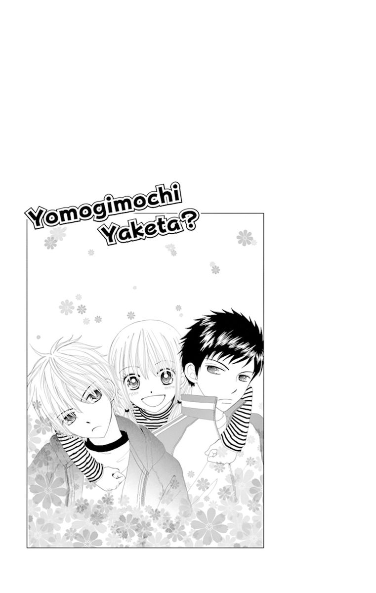 yomogi_mochi_yaketa_12_34