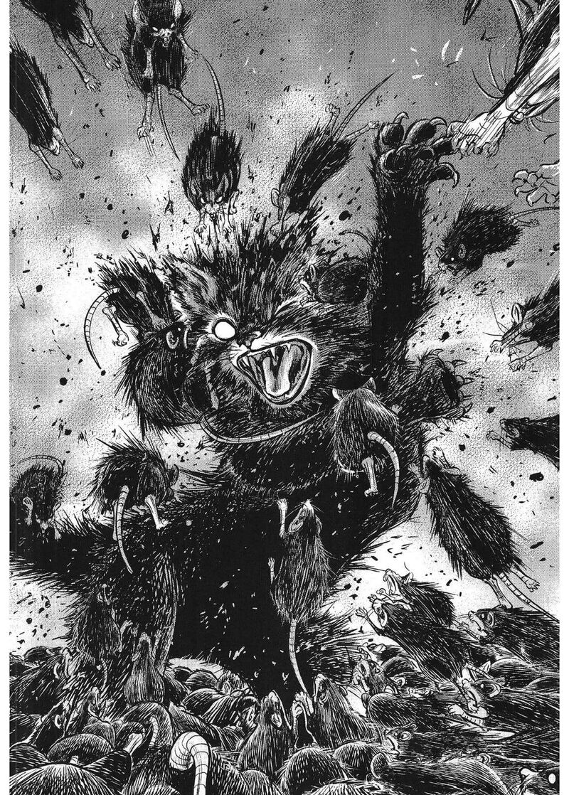 yongbi_bulpae_oejeon_79_8