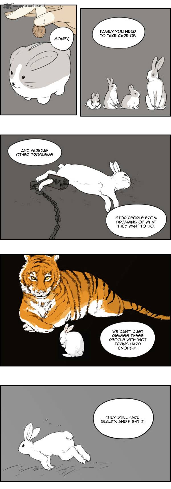 zebra_12_15