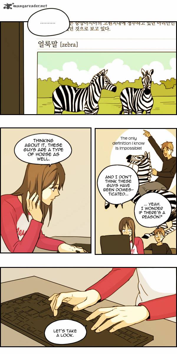 zebra_25_5