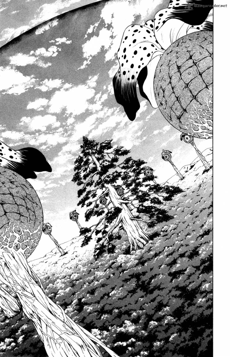 zetsuen_no_tempest_6_31